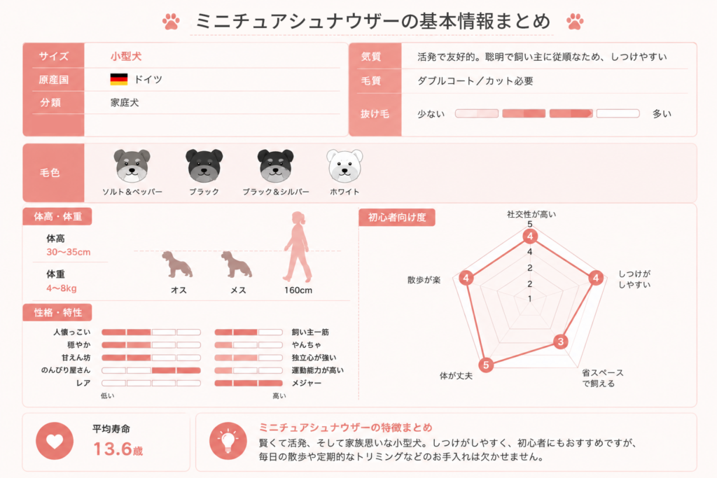 ミニチュアシュナウザーの基本情報
