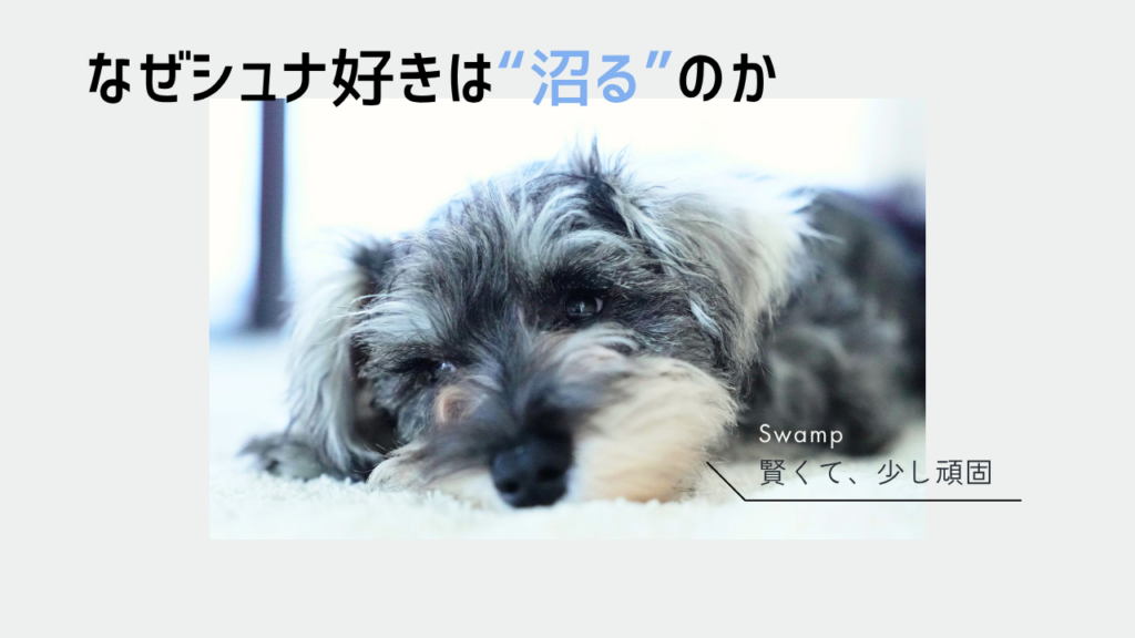 なぜシュナ好きは“沼る”のか
